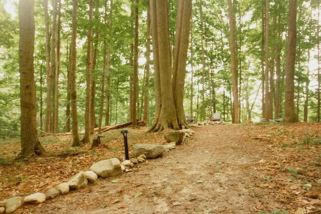 הוילה Reed City Wilderness Vista Retreat מראה חיצוני תמונה